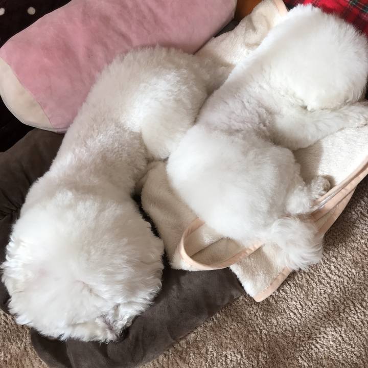 4e3bed1a a5a9 4f6a 8d94 3c54194b3061 1578188347666