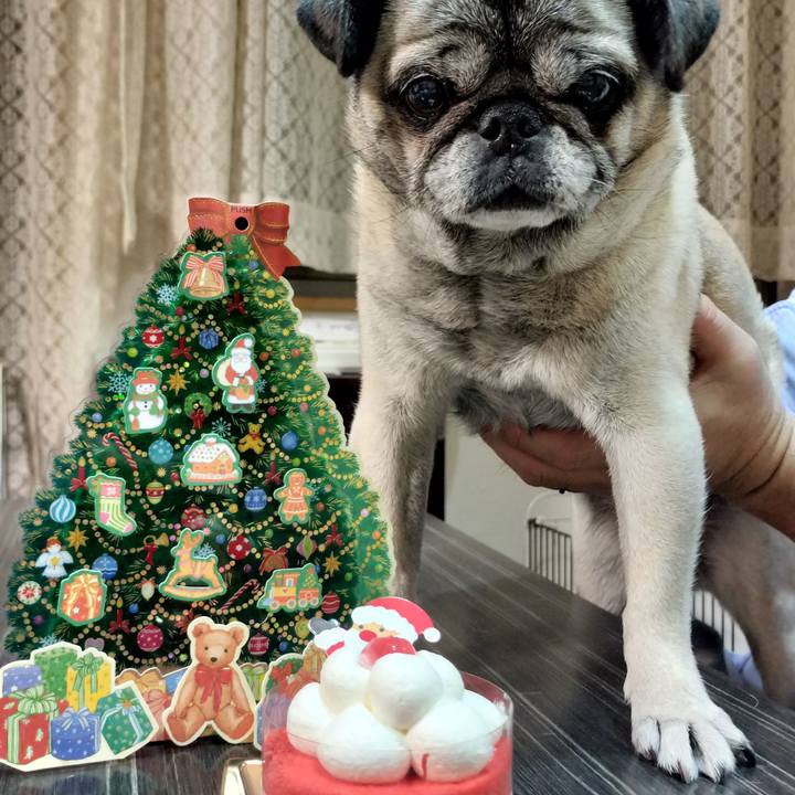 4e3c1ab0 9bd9 4125 8284 8e76fa590b2b 1766574273805