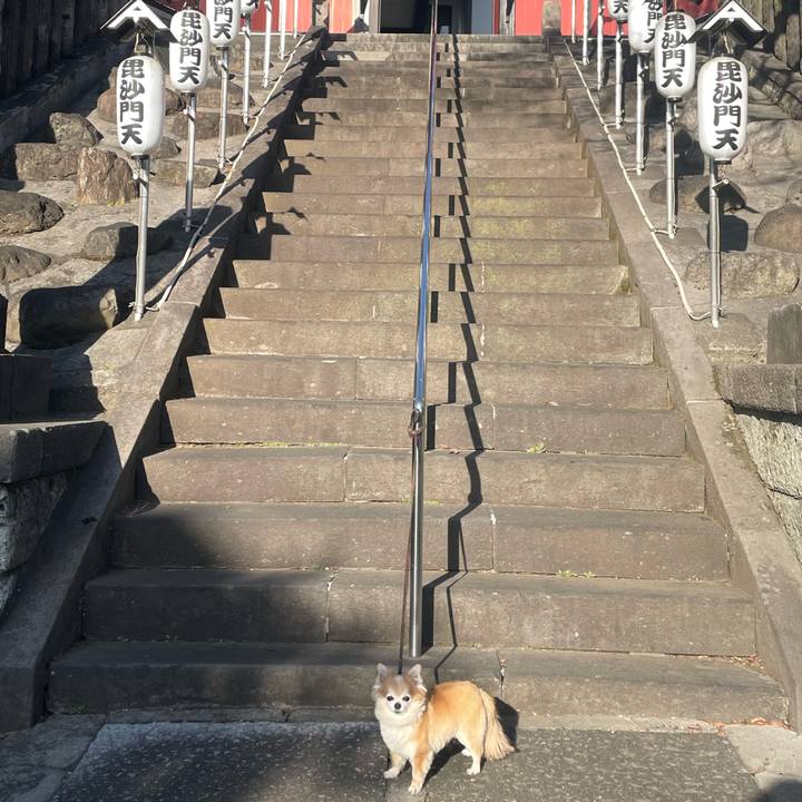 4e3c6ab7 e4dc 48a0 a113 ad8a13ddc44e 1772341771000