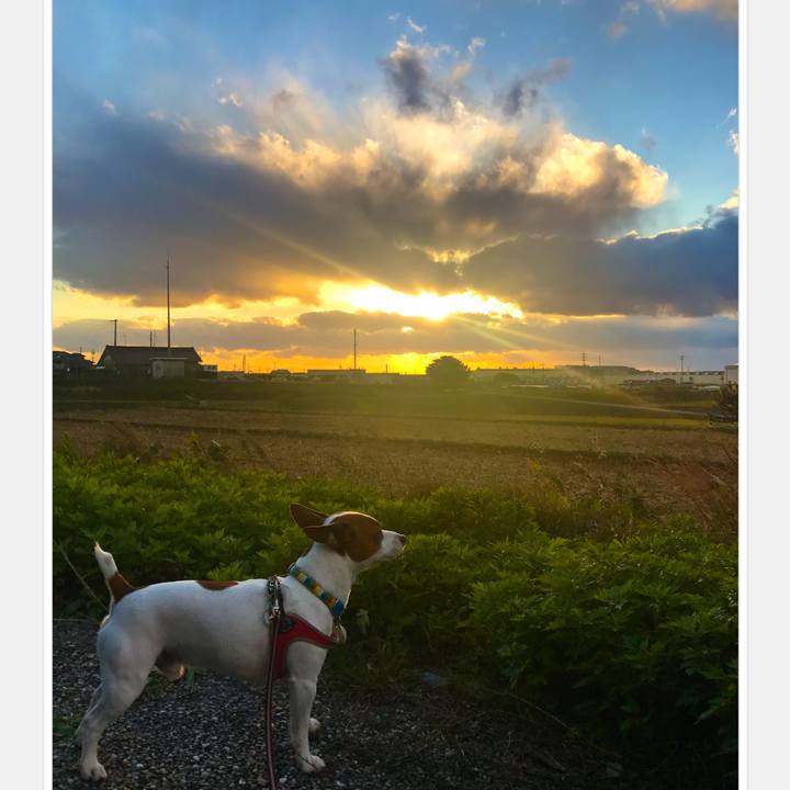 4e3c6b0b bdd8 471c 9678 20a213010403 1511427939302