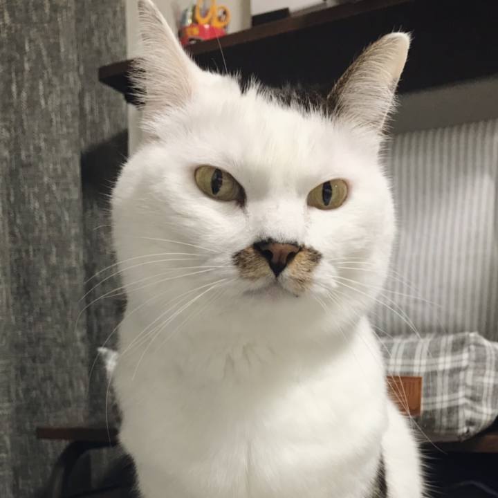 4e3c7515 143a 41c7 b830 4e5cb61a990f 1542341925527