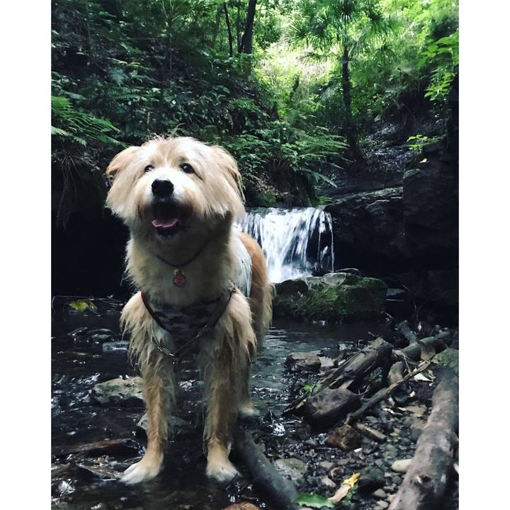 4e3cb114 e165 4037 88ad 20962780aeda 1592777788667