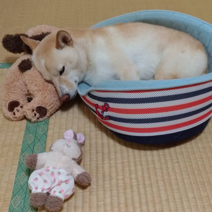 4e3cd75a 8c89 44e8 a85d 235a96c01bbe 1537182405333