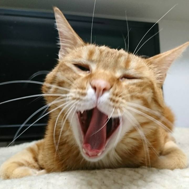 4e3cf0af 044b 4d73 8653 6b4fad6115e7 1551868621641