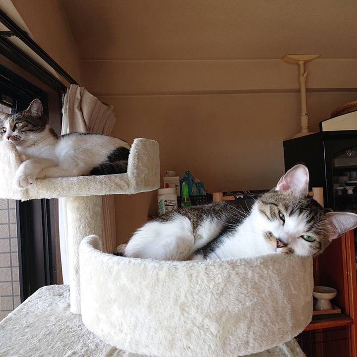 4e3d0bb6 4bc7 4d1f be6d d056838a5f7b 1604031011466