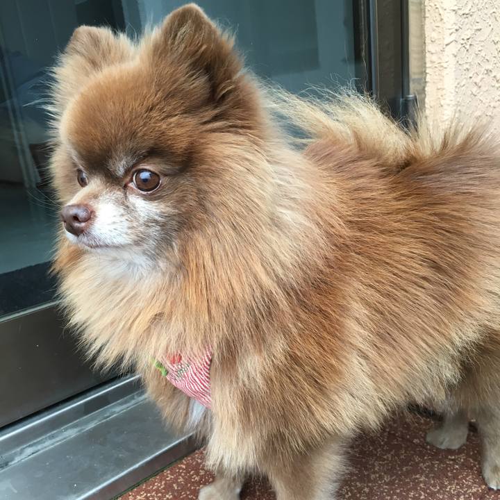 4e3d13c3 df90 41fc a755 1664a6e24210 1509884016085