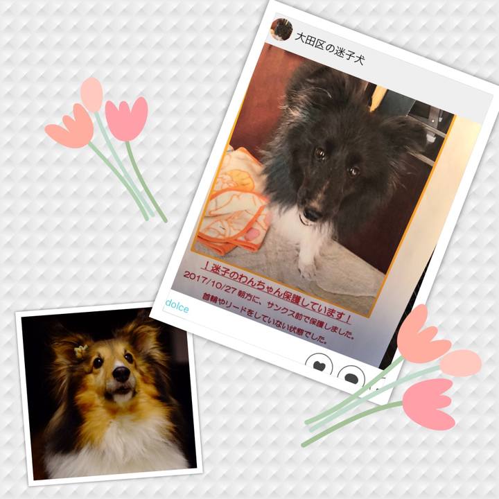 4e3d2c3c 912b 4fbe 9bbf 2c9cfe600fc5 1509108949881