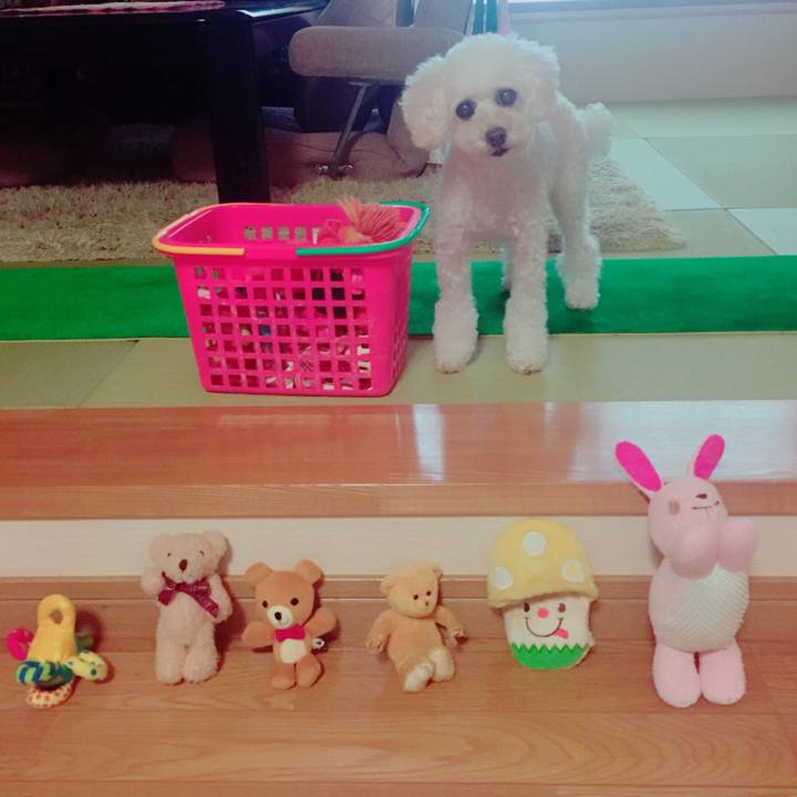 4e3d3a49 f0f9 4da7 8b04 12769f3fd12a 1535027914982