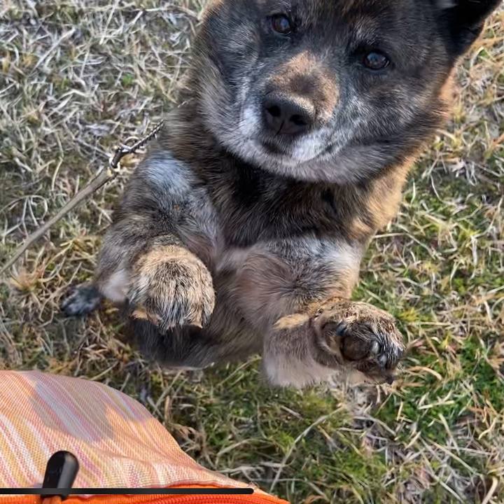 4e3d5474 3bc5 4792 9bf0 389f79626ae9 1586422843587