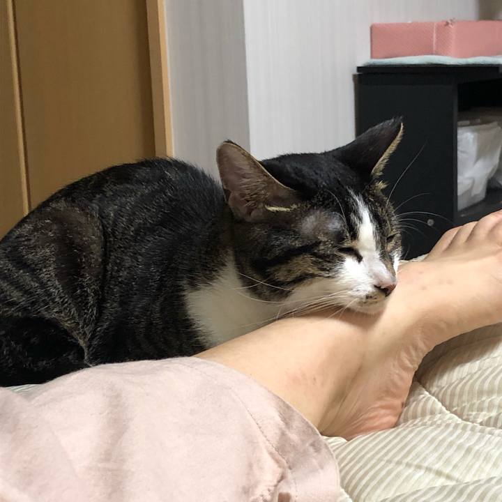 4e3d5a12 e799 4176 ac08 d6c073d0be02 1564790731518