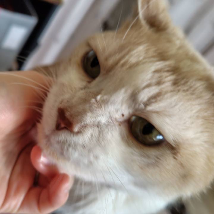 4e3d5fa1 ed7c 4afc af1a ded17bff96bd 1739577068271