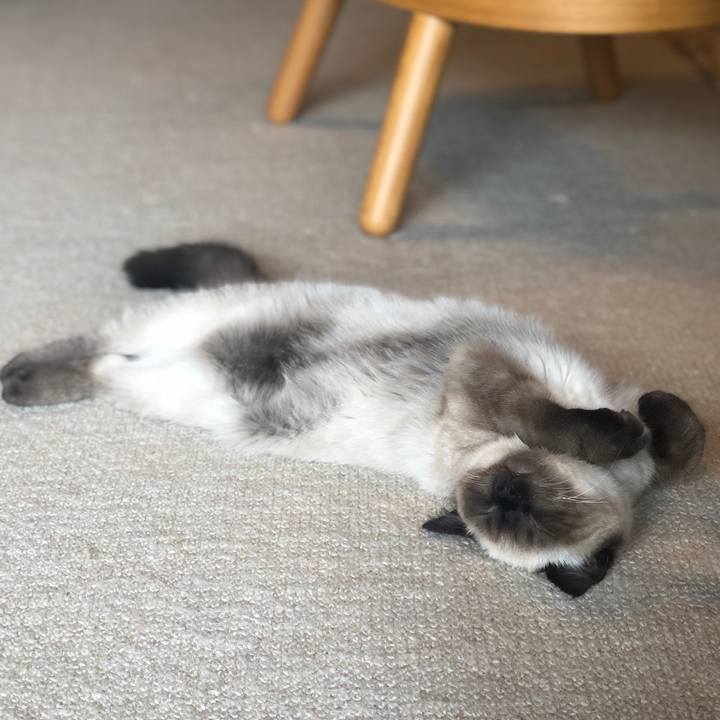 4e3d82be f391 498f ac7c 438edb4b7363 1593847657718