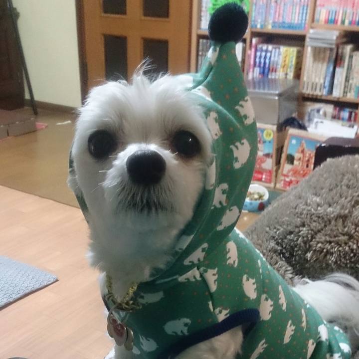 4e3da52b 1ec0 4710 bc06 d2c1e0558fdc 1515324081075