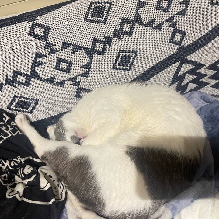 4e3da762 1588 4fa7 81f8 211071200878 1679402167461