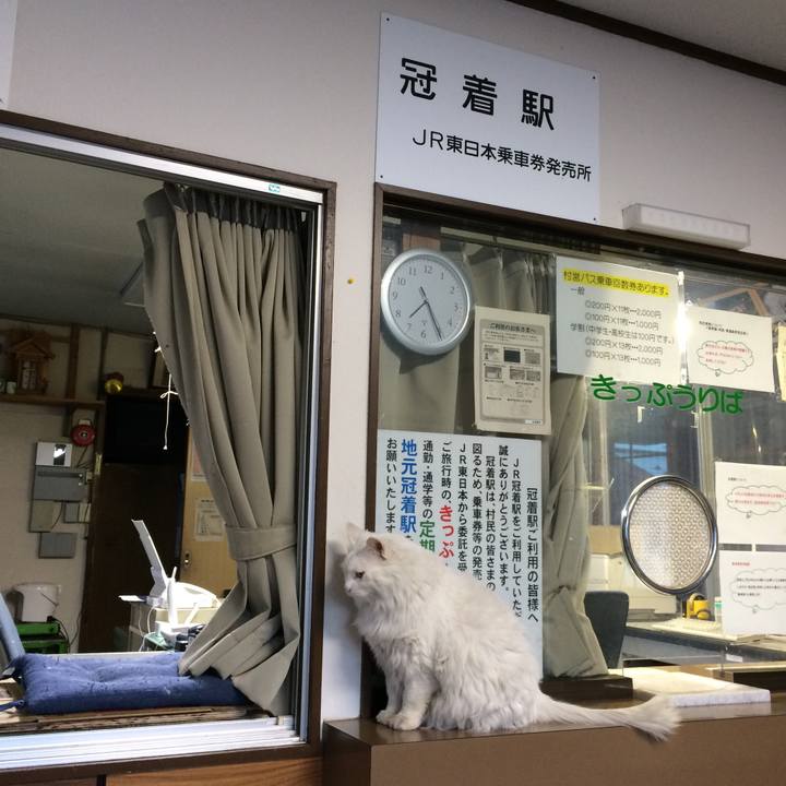 4e3dae31 b1af 4a25 a2c9 c09ee2c920a5 1513808759528