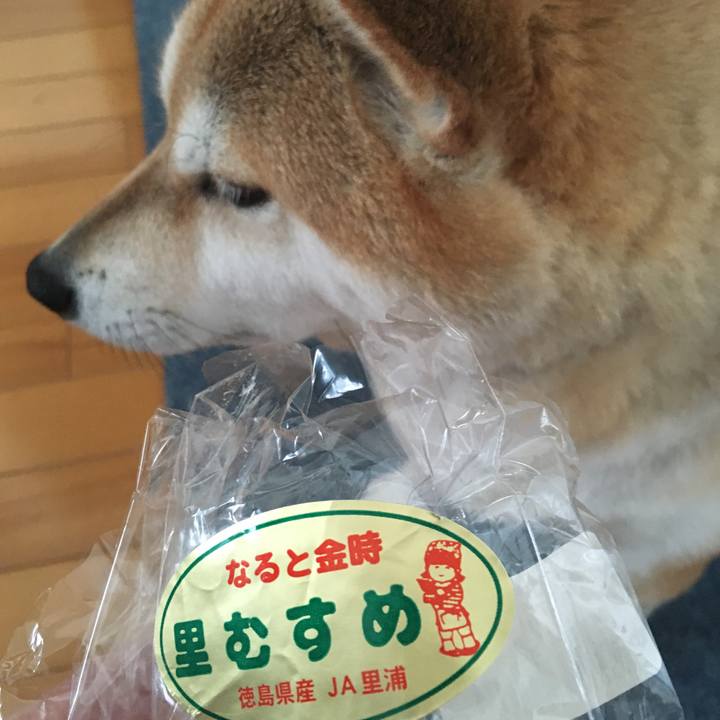 4e3de01c 9f29 4e9d 85f7 5a7cf64faa7a 1604176856448