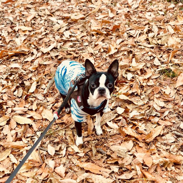 4e3e0282 e253 4d24 a587 134938dcdcc5 1514274234668