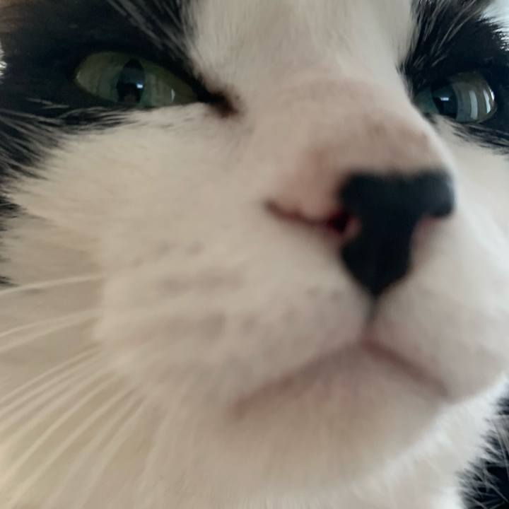 4e3e1825 edd7 4397 b8b8 571e6dee7266 1709361464641