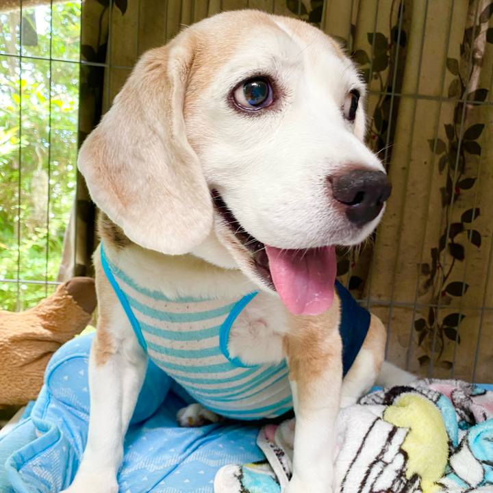 4e3e1e36 3891 474c 9122 cfa07fd7c3ab 1658037380950