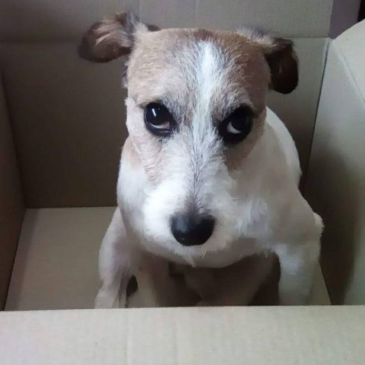 4e3e34bf 6c68 434a 96ee f75f0694d728 1546331124269