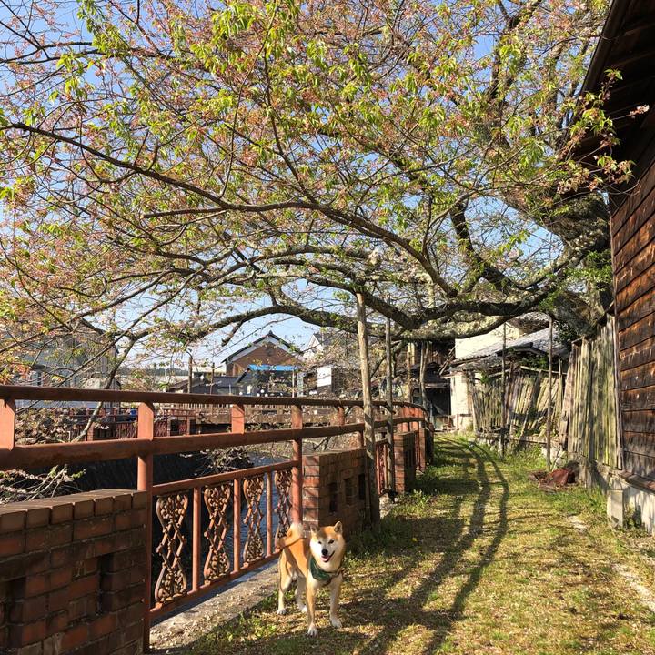 4e3e48da a9a0 4e30 bde7 6d58bfa208c8 1555918394234