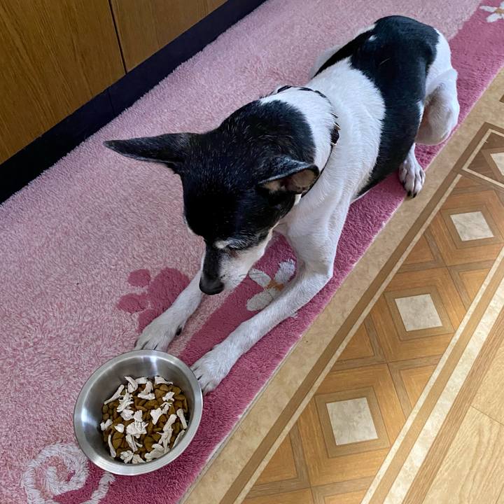 4e3e5b6a ddd3 4a9b 8d29 13414b6327e7 1609555150892