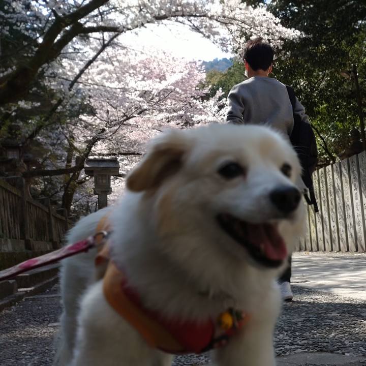 4e3e68d3 c925 45e2 8c2b 8709e1f9b324 1648964637150