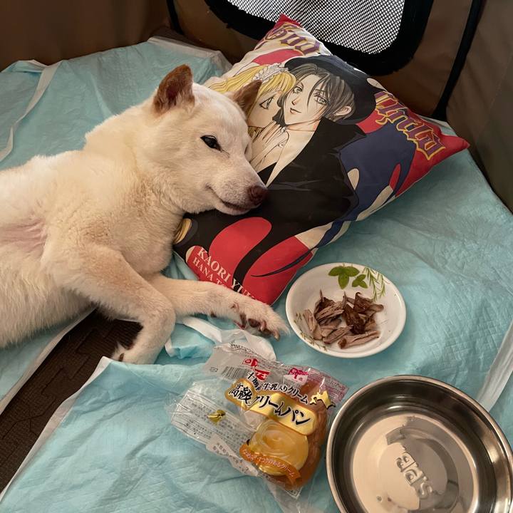 4e3e9585 cc4d 4388 98c4 6afb2f2244e3 1659767509112