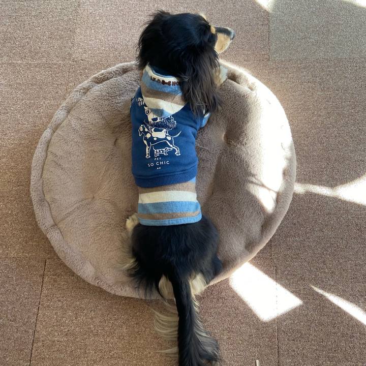 4e3e95e6 2dda 4fef b8ce f84a6c2249f9 1734587066727