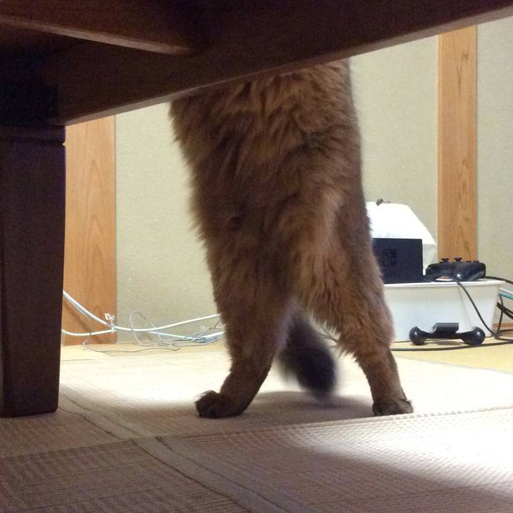 4e3ef2bd 450e 4b25 8284 1fd4a6ad55c7 1597324166704