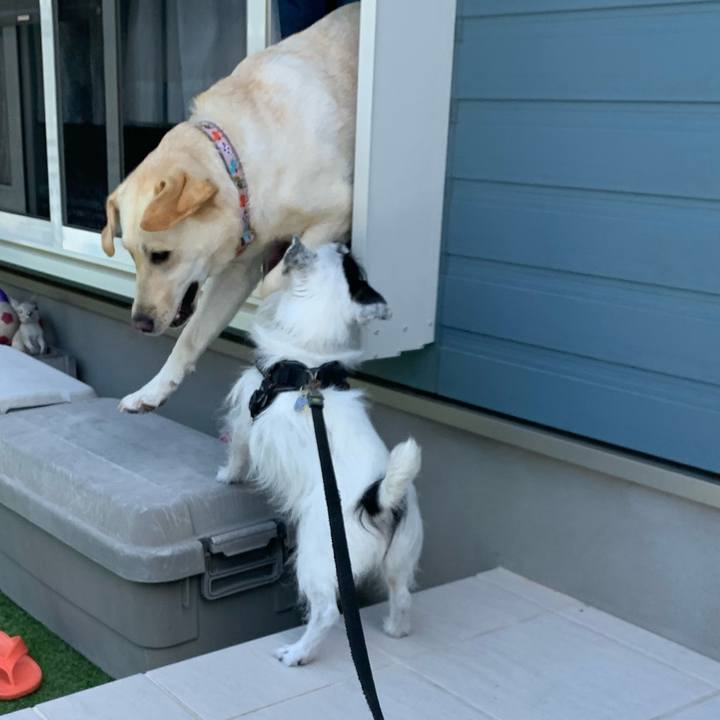 4e3f0610 bb2b 4729 bd50 e46b8e1ed336 1749169008781