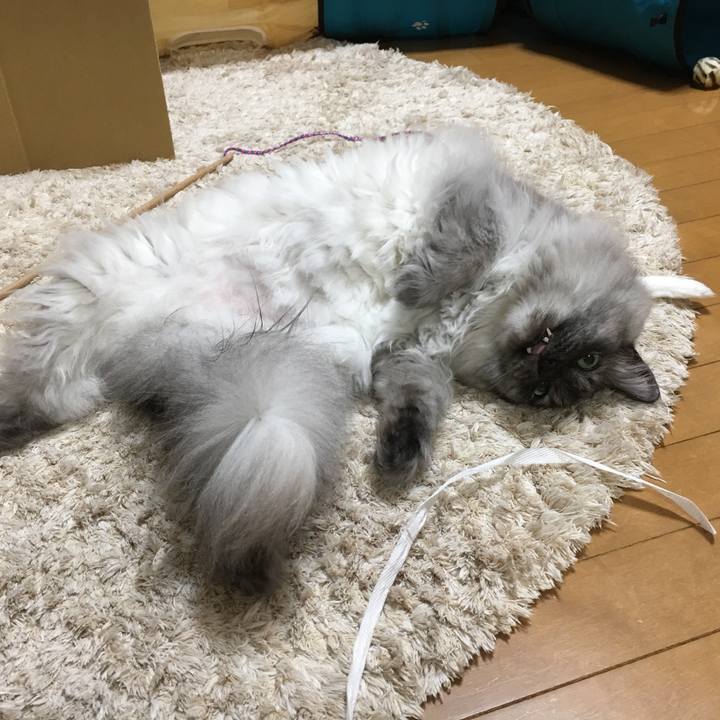 4e3f1d02 a84c 489a b7a6 a61704261a2d 1556589538710