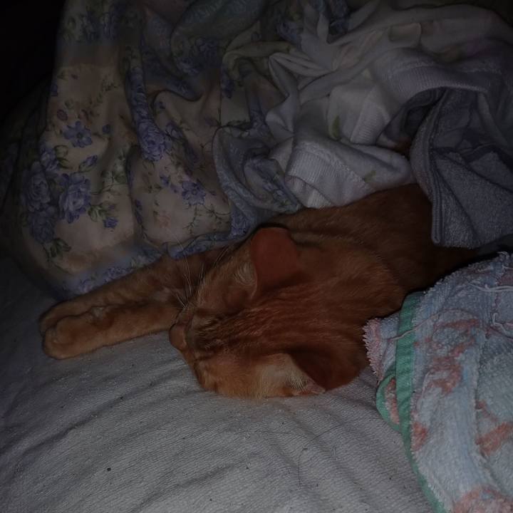 4e3f5abb 6ec7 41ac 984d 305de0532f03 1666972180875