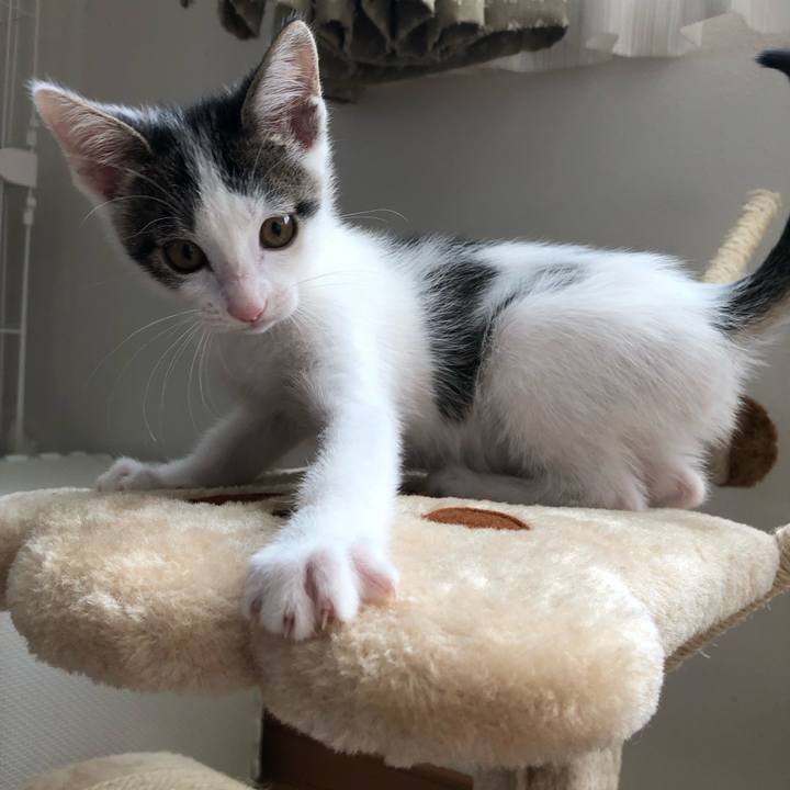 4e3f61d4 78a6 4c91 a932 09dfb69aa04a 1562230454317