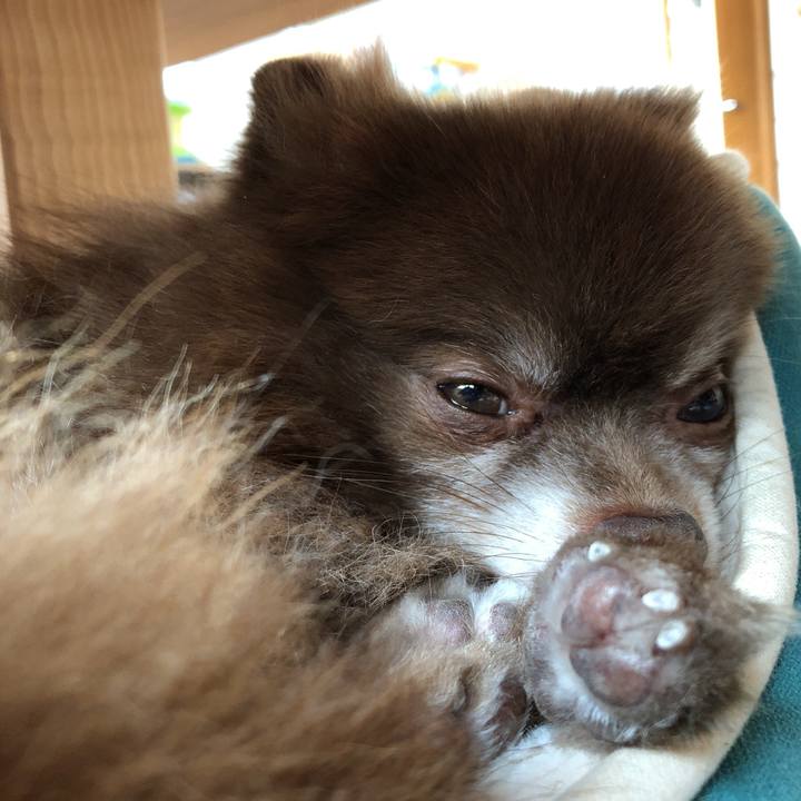 4e3fb2f9 d028 4135 822a baa857108375 1549594528816