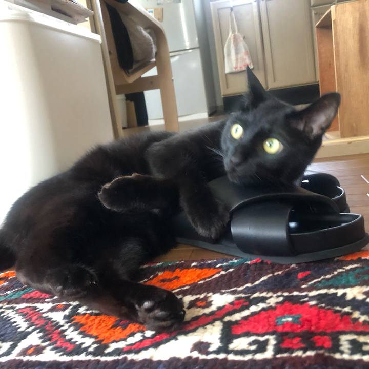 4e400285 89b6 4596 97b0 5b237e6cb806 1655780525736