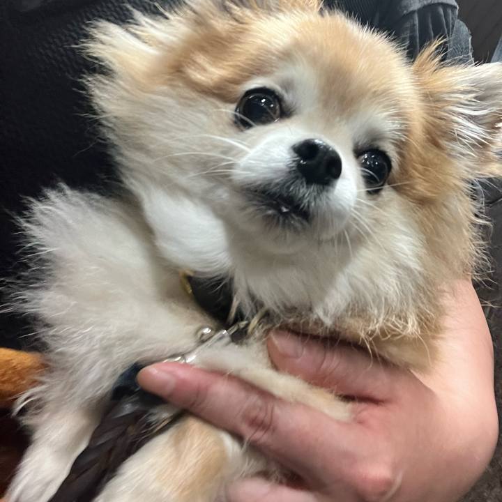 4e403b74 b9d3 4e1c 8b0d a95a14dbc9f6 1752415362542