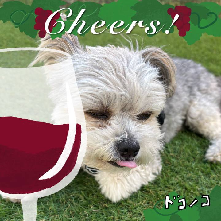 4e405ea2 91d9 4b55 8145 5b596f4165e8 1761699156748