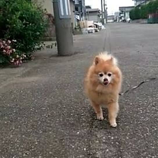 4e4073e1 5888 4b77 bca4 36add52c4728 1528669434816