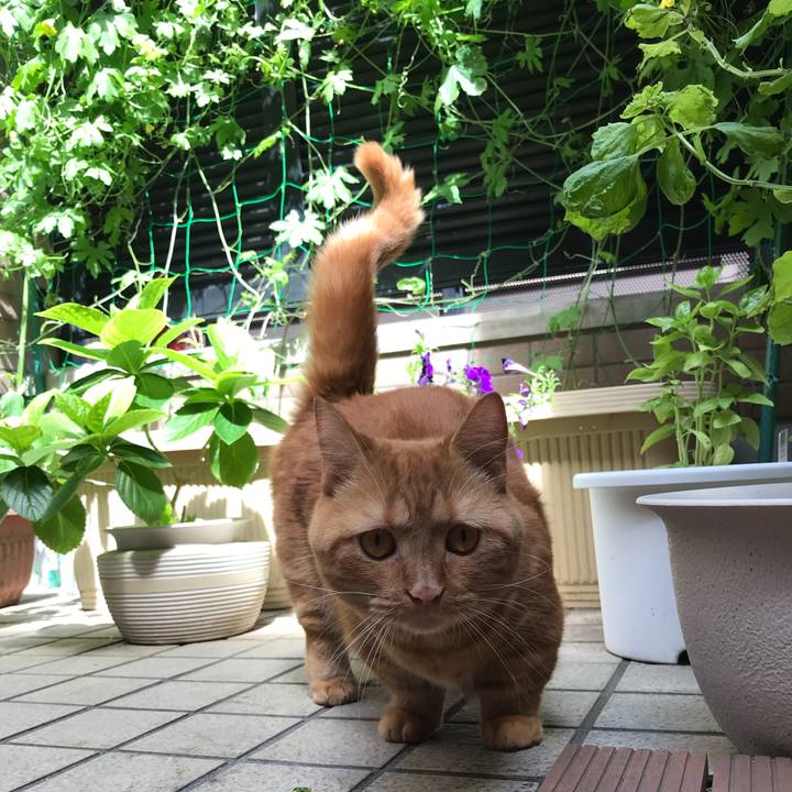 4e40922f cca2 4f64 8818 c53e88f64c77 1534554025711