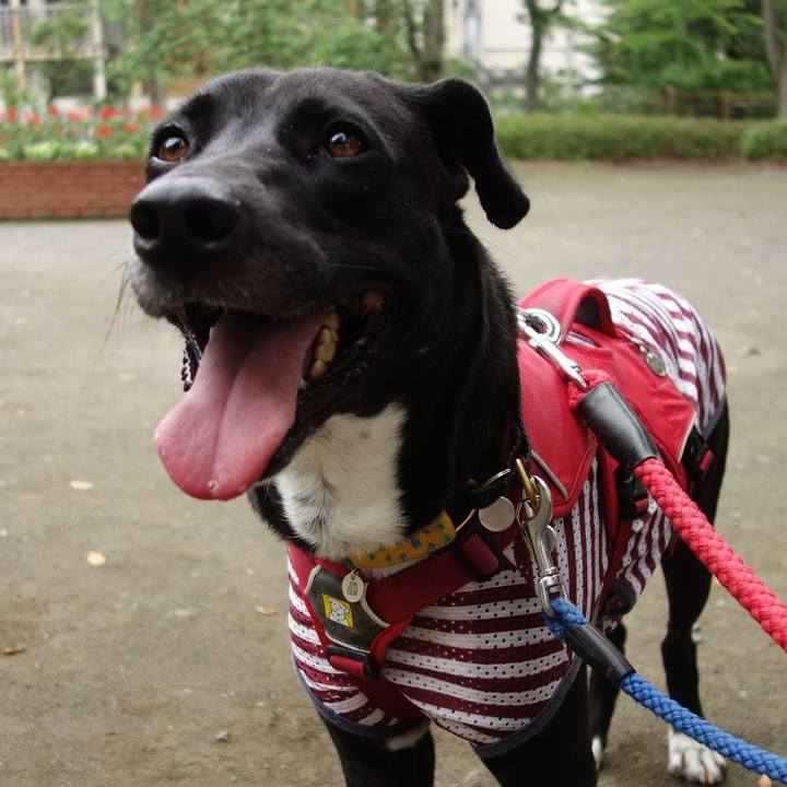 4e409921 2540 4569 97f2 521fe1e9dba4 1593213635189