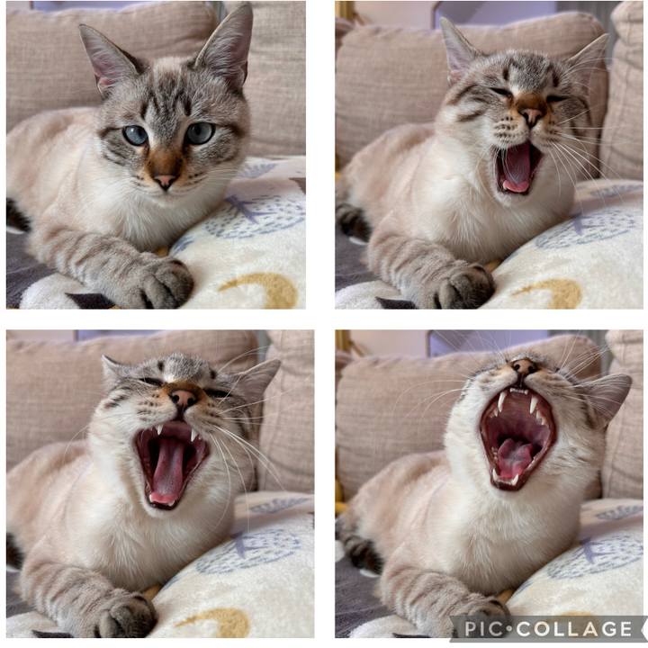 4e40b5a8 be16 4eda 91ce 4cc90b24805e 1737617408170