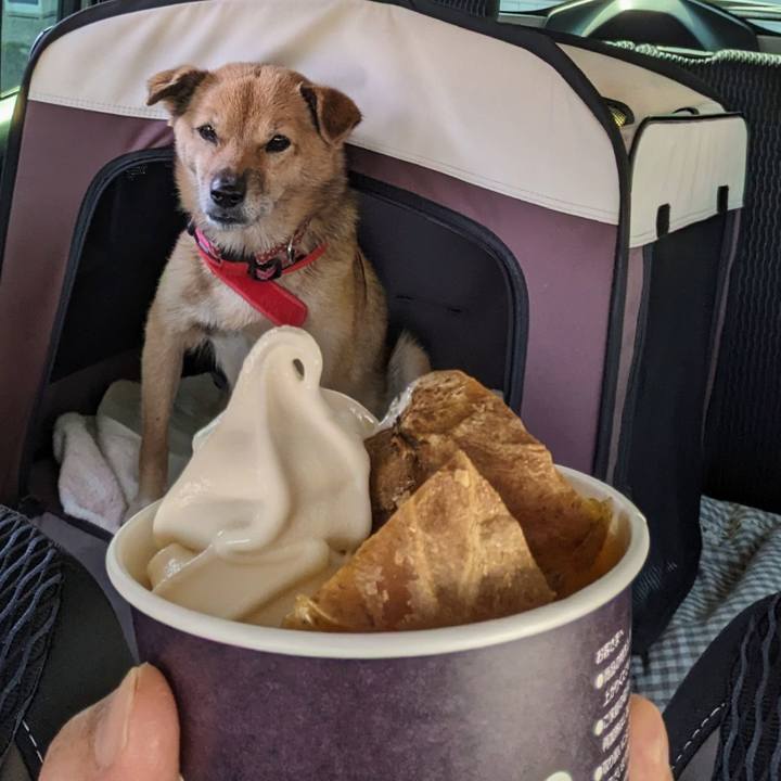 4e40ba80 801e 4118 91a6 4a1a3520b8b9 1698393740494