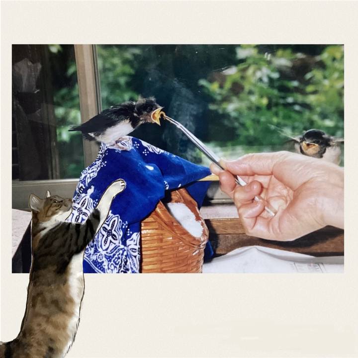 4e40caef d134 4d03 824f 891787f485eb 1686031703435