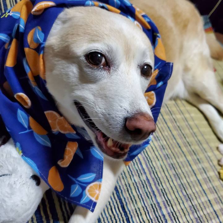 4e40cbb7 c1b8 45f3 af57 87954186742a 1625108869778