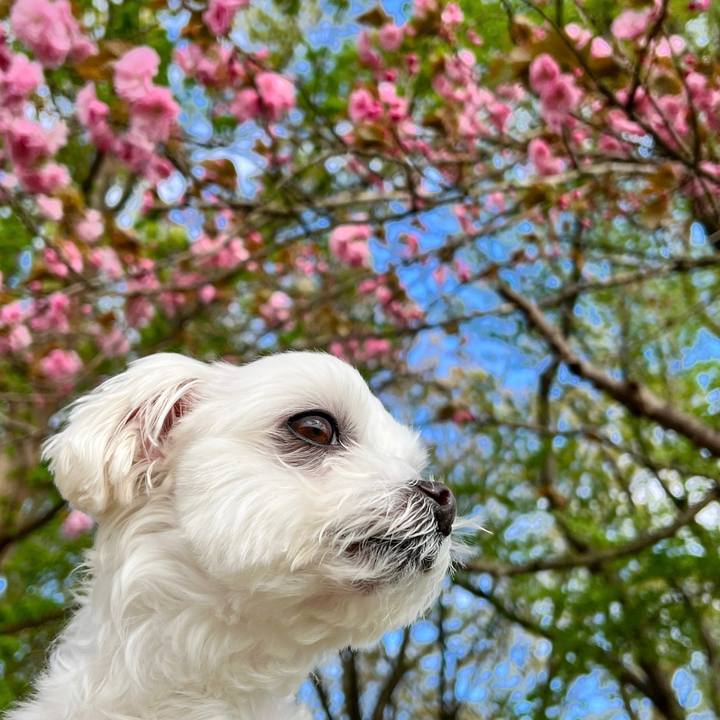 4e40f814 02d0 4ad7 b053 b14d4f72c628 1680767697404