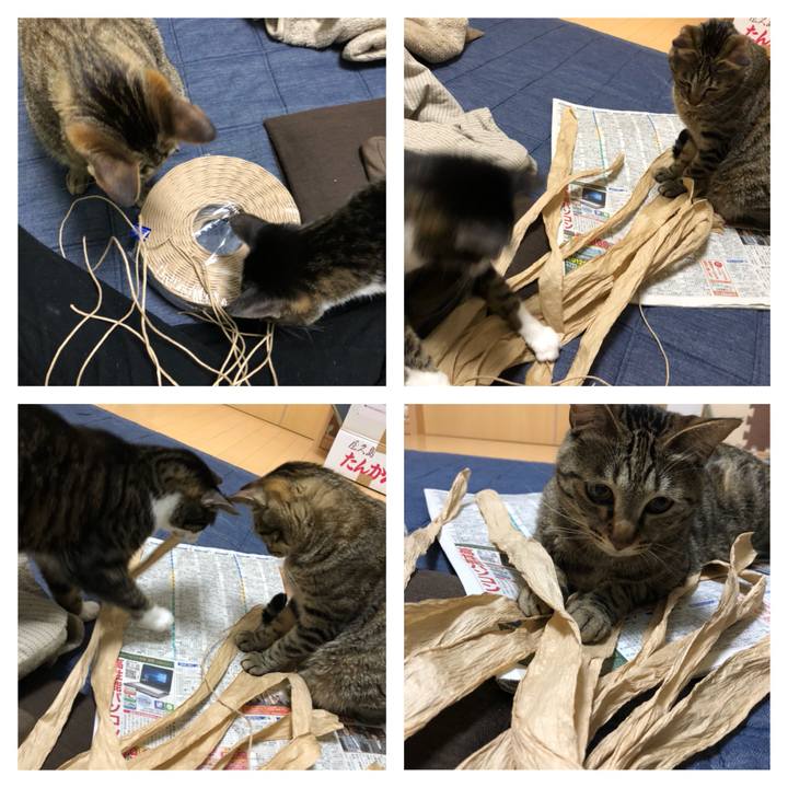 4e410507 f021 4ba3 8bb1 45bc2d0cedde 1524831762313