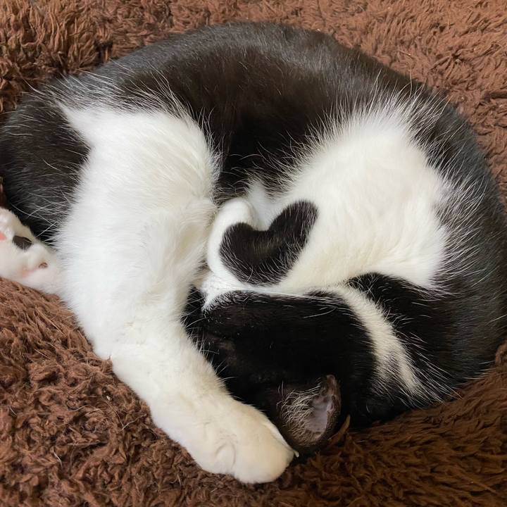 4e413a19 e84e 4e91 aa96 da80980213ae 1709983640444