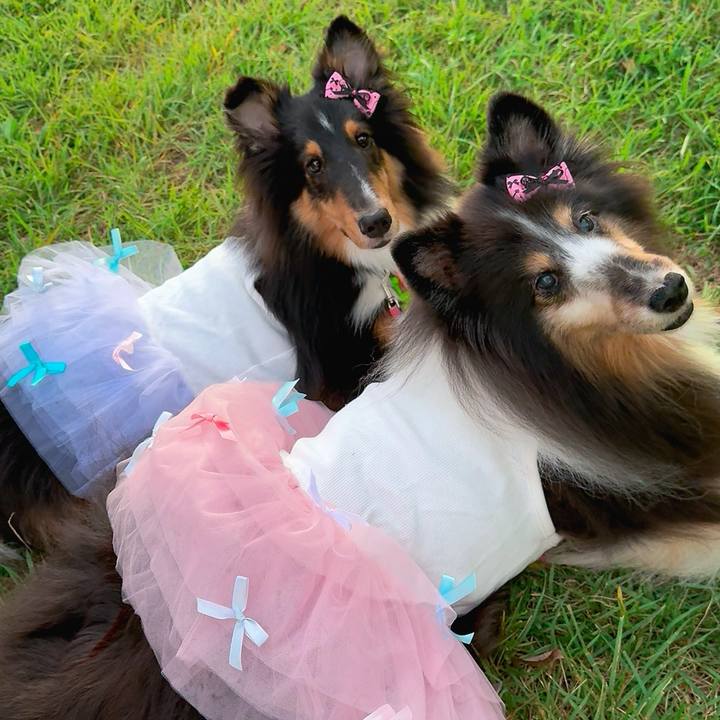 4e414971 c507 4341 ae9a 425df7af7e99 1760028774429