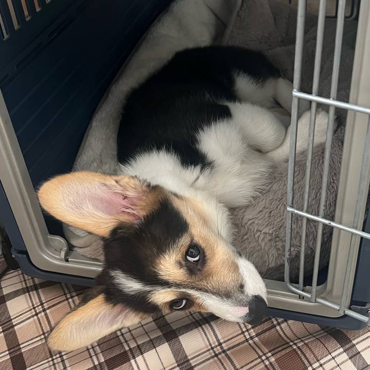 4e415644 cb06 427f 8dc4 c50514c057b6 1772153847963